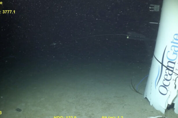implozia submersibilului titan in care au murit 5 oameni putea fi prevenita concluziile autoritatilor sua 68922cf2f22a9