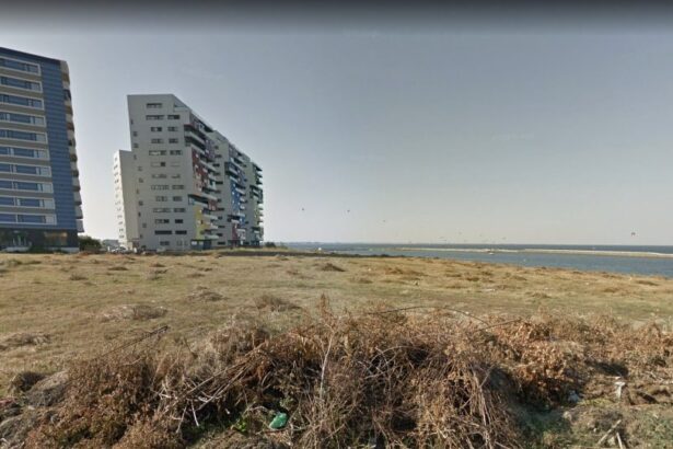 in ciuda nevoii urgente de spatii verzi proiectul parc faleza nord din constanta e blocat in documentatii 688d41b5b5836