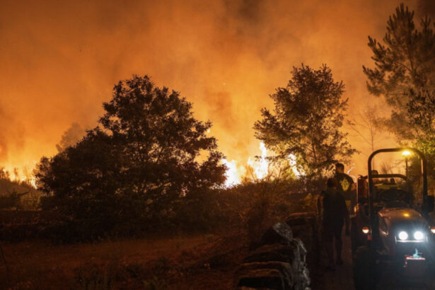 incendiile de padure au devastat o suprafata record in centrul portugaliei 68ac751aeb8ce