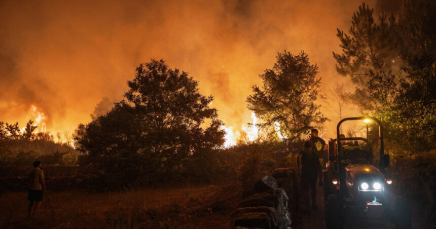 incendiile de padure au devastat o suprafata record in centrul portugaliei 68ac751aeb8ce