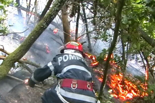 incendiu de vegetatie in hunedoara 60 de hectare au fost afectate iar focul a ajuns aproape de o manastire 68b2c30d76bb3