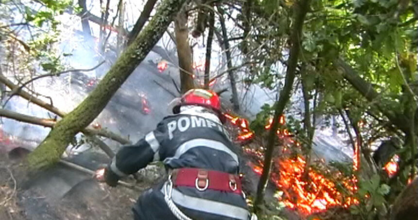 incendiu de vegetatie in hunedoara 60 de hectare au fost afectate iar focul a ajuns aproape de o manastire 68b2c30d76bb3