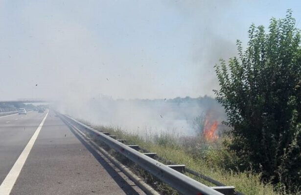 incendiu de vegetatie uscata in apropierea autostrazii soarelui circulatia rutiera a fost deviata 6899d6db2621b