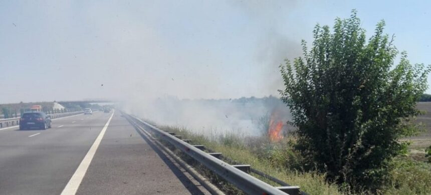 incendiu de vegetatie uscata in apropierea autostrazii soarelui circulatia rutiera a fost deviata 6899d6db2621b