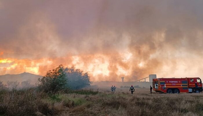 incendiu de vegetatie uscata intre murighiol si mahmudia 68a9a52c1a7fd