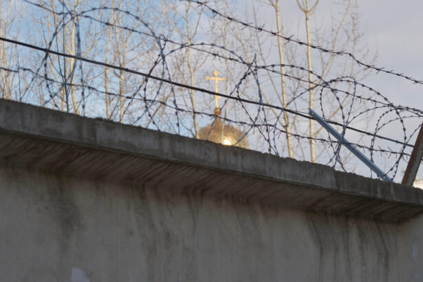 infractori rusi au incercat sa introduca droguri intr o inchisoare din nijni novgorod cu ajutorul unei pisici 68a488d3266b8