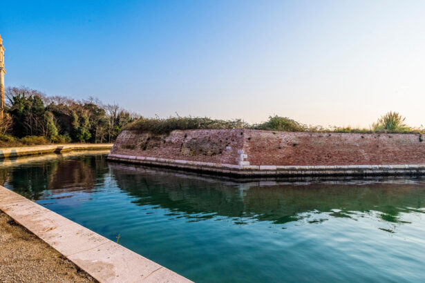 insula bantuita din venetia acum abandonata va deveni un paradis pentru localnici niciun turist nu va avea acces 688e4d0a12a13