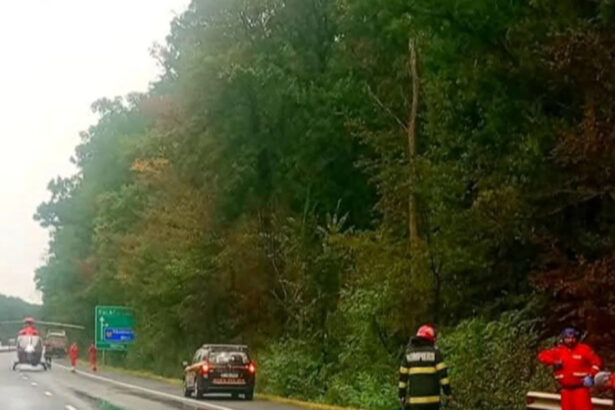 ipoteza socanta in cazul accidentului de pe a1 gestul facut de cei doi tineri inainte de a fi loviti de un tir 68a59481bfa59