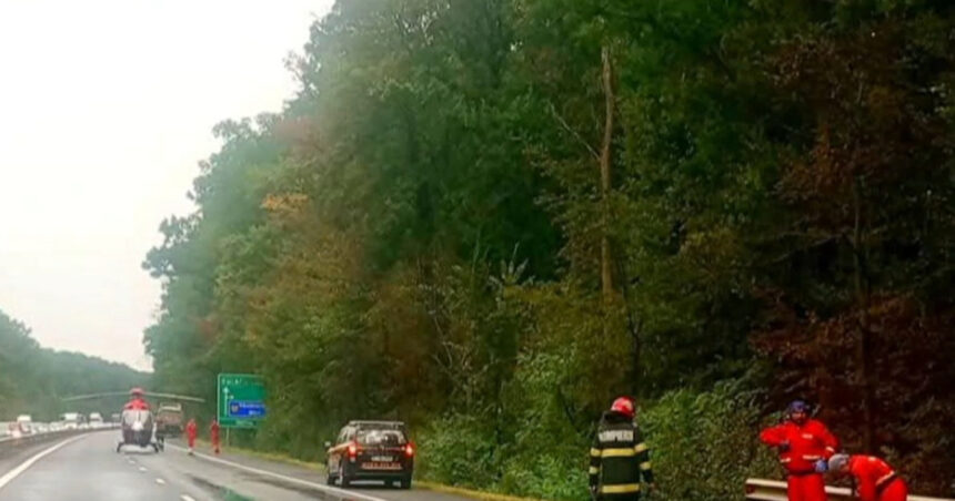 ipoteza socanta in cazul accidentului de pe a1 gestul facut de cei doi tineri inainte de a fi loviti de un tir 68a59481bfa59