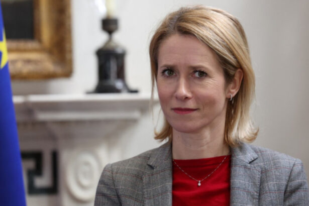 kaja kallas sefa diplomatiei ue este de negandit ca rusia va recupera activele inghetate daca nu despagubeste deplin ucraina 68b356af50664