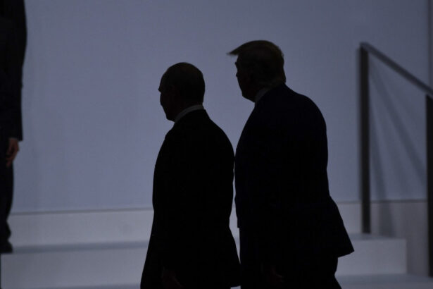 londra ii atentioneaza pe liderii europeni sa nu l irite pe trump inaintea intalnirii cu putin 689b5218af232