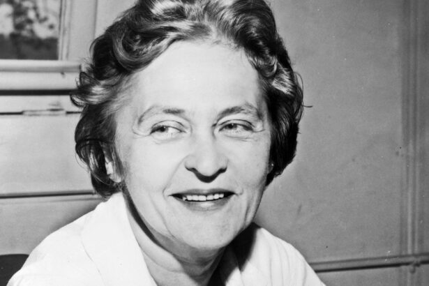 maria telkes regina soarelui pioniera energiei solare 689cab87237e7