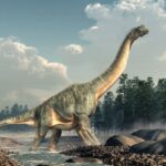 noi reconstructii 3d arata ca sauropodele dadeau din coada la fel ca un caine 68a890280c44b