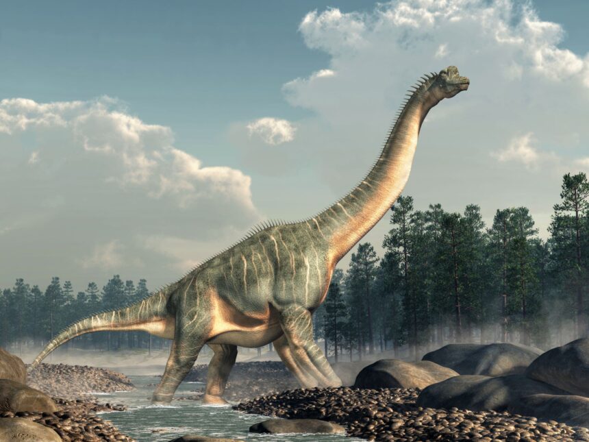 noi reconstructii 3d arata ca sauropodele dadeau din coada la fel ca un caine 68a890280c44b