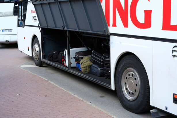 o femeie din noua zeelanda si a ascuns fetita de 2 ani intr o valiza si a bagat o in compartimentul pentru bagaje al unui autobuz 68904daadcf1a
