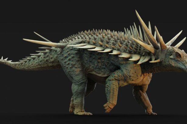 o noua specie de dinozaur descoperita in maroc purta cea mai tepoasa armura vazuta vreodata 68b3fd0f9fe8f