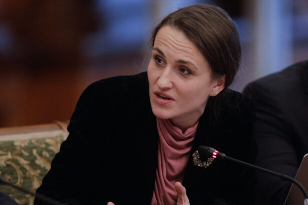 oana toiu despre visa waiver pe componenta tehnica romania si a indeplinit indicatorii politic sunt mai multe elemente 68addede5afd0