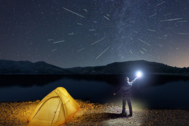 perseide 2025 fenomenul astronomic atinge apogeul in aceasta noapte din ce zone se pot observa pana la 100 de meteori pe ora 689acfc2be716