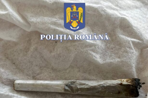 petrecerea s a incheiat prost tanara prinsa cu canabis la neversea condamnata la inchisoare 68ae2fd8d9e1b