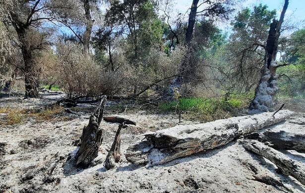 pompierii tulceni se deplaseaza din nou in zona sireasa din delta dunarii 68a43c10c76d4