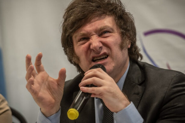 presedintele argentinei a blocat prin veto cresterea pensiilor ce l a determinat pe javier milei sa ia decizia 6891209a3340b