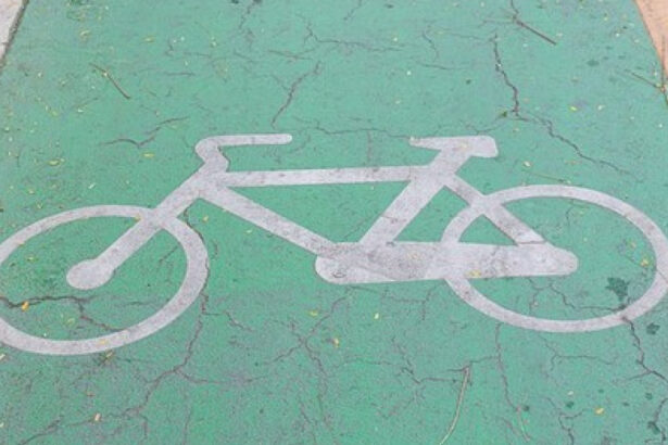 prima pista de biciclete pe diguri din tara a fost inaugurata in judetul bihor 68abe12227369