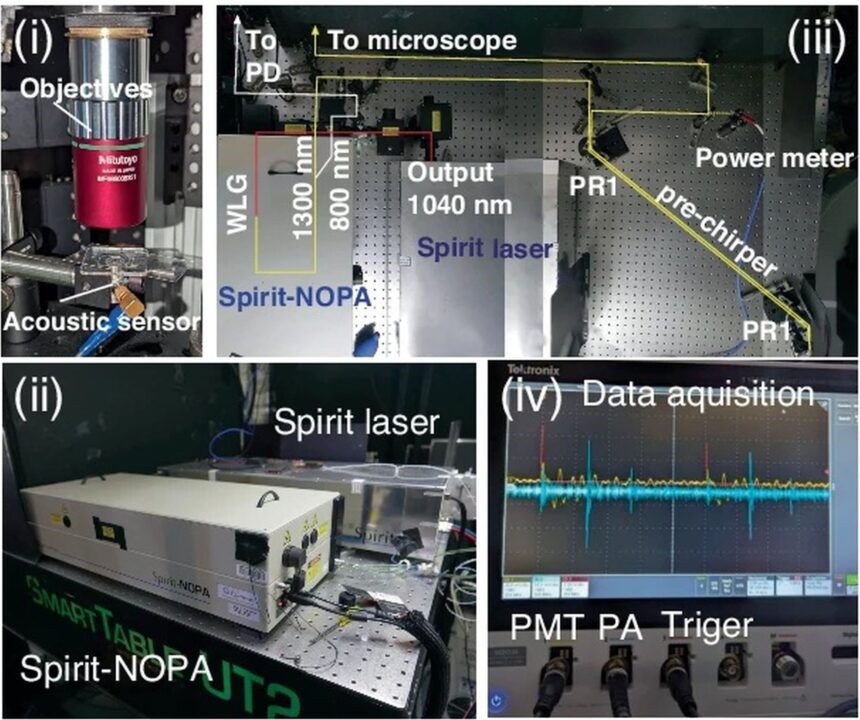 Primul microscop acustic permite observarea a 5 ori mai adânc în creier fără a afecta celulele 1 primul microscop bazat pe sunet vede de 5 ori mai adanc in creier fara a altera celulele 68984d6ef025f