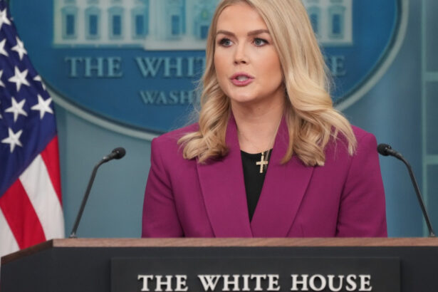 reactia lui donald trump la atacurile rusiei din ucraina vine prin purtatorul de cuvant nu e multumit dar nici surprins 68b0b76d14df3