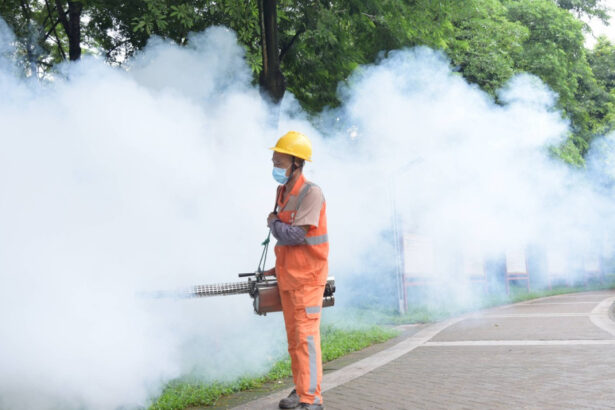 restrictii ca in pandemie in china un virus transmis de tantari se raspandeste rapid in provincia guangdong 6891ca4746db9