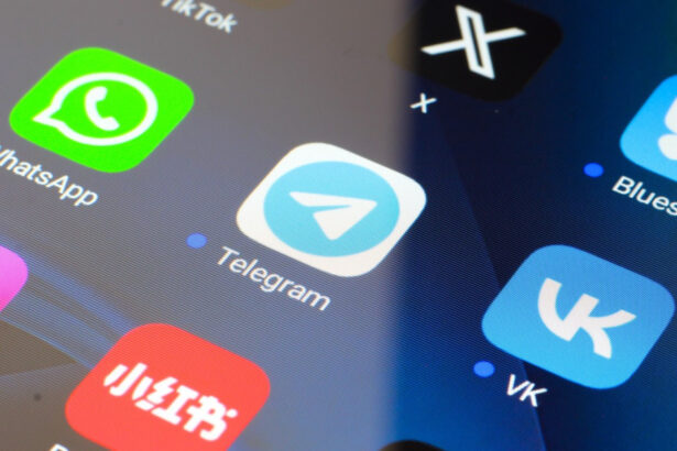 rusia a interzis partial apelurile prin whatsapp si telegram cum isi justifica autoritatile decizia 689cb44328b66