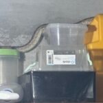 sarpe capturat dintr o casa din localitatea 2 mai 6894cff4c169e