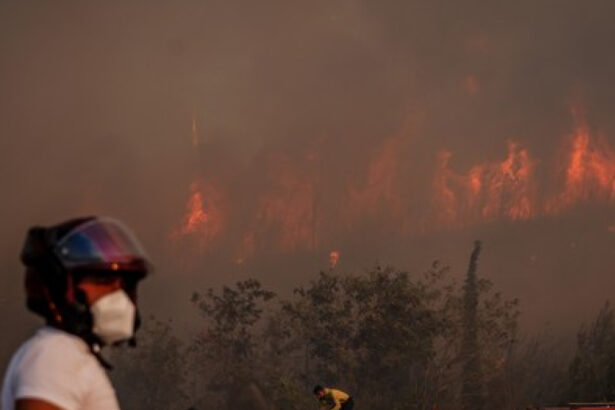 sute de persoane au fost evacuate in nord vestul turciei din cauza incendiilor de vegetatie si peste 700 de pompieri lupta cu flacarile 689a23bd4cc45
