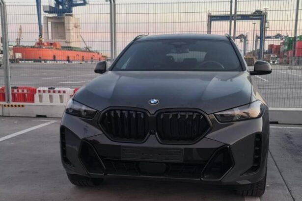 teparul dumitru georgescu condamnat pentru inselaciune cu masini din germania a ajuns la inchisoare 68a5b3713f0cf