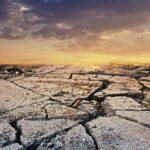 test de cultura generala mai putem opri schimbarile climatice 689371177a0c6