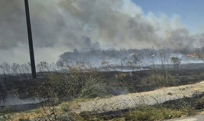 trafic rutier oprit pe autostrada a2 bucuresti constanta in urma unui incendiu de vegetatie 689482ac433d9