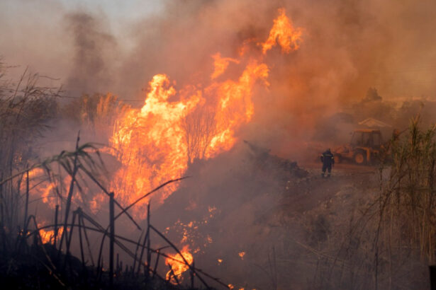 un incendiu de proportii arde necontrolat la sud est de atena 6896207798e6b