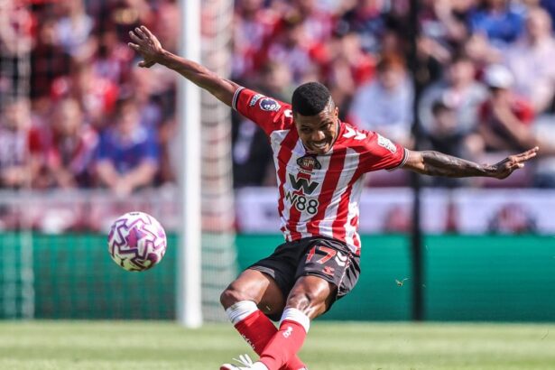 un jucator de la sunderland si a pus tara pe harta dupa debutul in premier league 68a4b22d3291d
