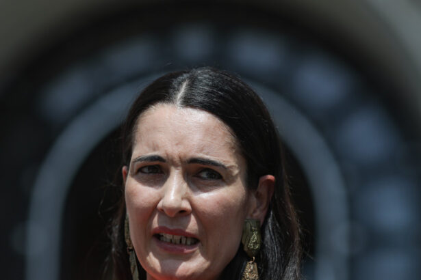 usr nou atac la psd clotilde armand ramane acelasi copil problema al romaniei 68ad86fec08f7
