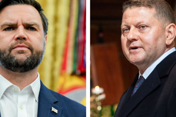 valeri zalujnii a respins un telefon de la vicepresedintele jd vance la cateva zile dupa conflictul lui zelenski din biroul oval 68ac63e7990e9