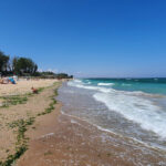 video amenzi pe banda rulanta pentru turistii romani din bulgaria care si au parcat masinile intr o arie protejata ce scuze invoca 6894f573515f5
