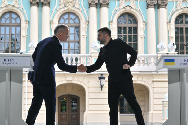 video canada ia in calcul prezenta trupelor sale in ucraina ca parte a garantiilor de securitate ce i a transmis zelenski lui mark carney 68ab3f5733f8c