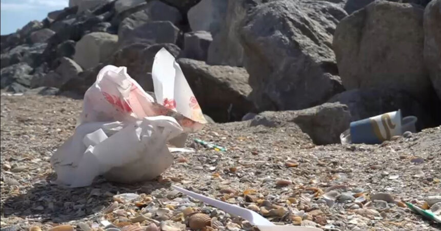 video cum arata plajele din romania la final de sezon turistii au lasat in urma chistoace de tigari resturi alimentare si ambalaje 68ac7917aec90
