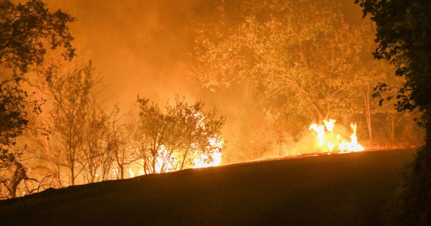 video franta se lupta cu cel mai puternic incendiu de vegetatie de anul acesta ard padurile in sud un mort si 9 raniti 68936c5e782bd