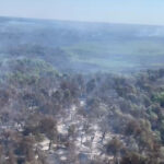 video incendii in delta dunarii sunt afectate aproape 70 de hectare de padure si vegetatie un alt foc a izbucnit in apropiere de plauru 68976f2f74bb3