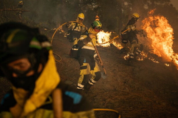 video incendii puternice de vegetatie la cativa kilometri de madrid mii de oameni evacuati si in andaluzia 689ae5579b01f