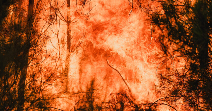 Incendii puternice în trei regiuni din vestul Spaniei. Avertismentul premierului Pedro Sanchez: „Ne aşteaptă ore dificile” 1 video incendii puternice in trei regiuni din vestul spaniei avertismentul premierului pedro sanchez ne asteapta ore dificile 68a49355db3c7