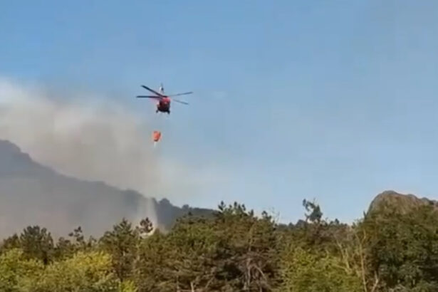 video incendiu de vegetatie in judetul tulcea flacari pe 6 hectare in zona chilia veche elicopter black hawk trimis la interventie 6890ebe95a6e6