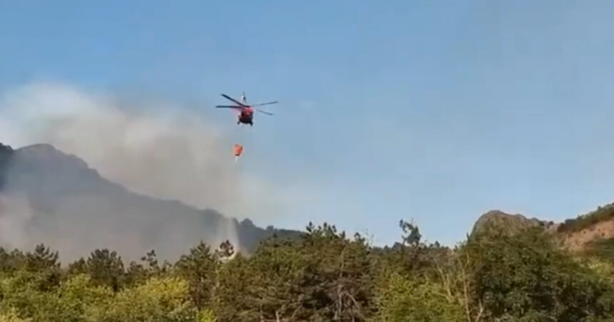 video incendiu de vegetatie in judetul tulcea flacari pe 6 hectare in zona chilia veche elicopter black hawk trimis la interventie 6890ebe95a6e6
