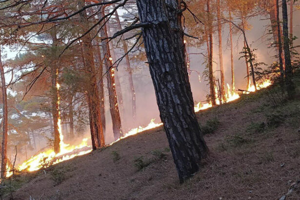 video incendiu pe coasta marii negre in apropierea vilei lui putin in urma prabusirii unei drone peste 100 de pompieri rusi mobilizati 68b17477b3c81