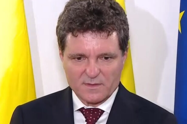 video nicusor dan magistratii din romania au muncit anii astia de doua trei ori mai mult decat omologii lor din tari europene 68b448a001473